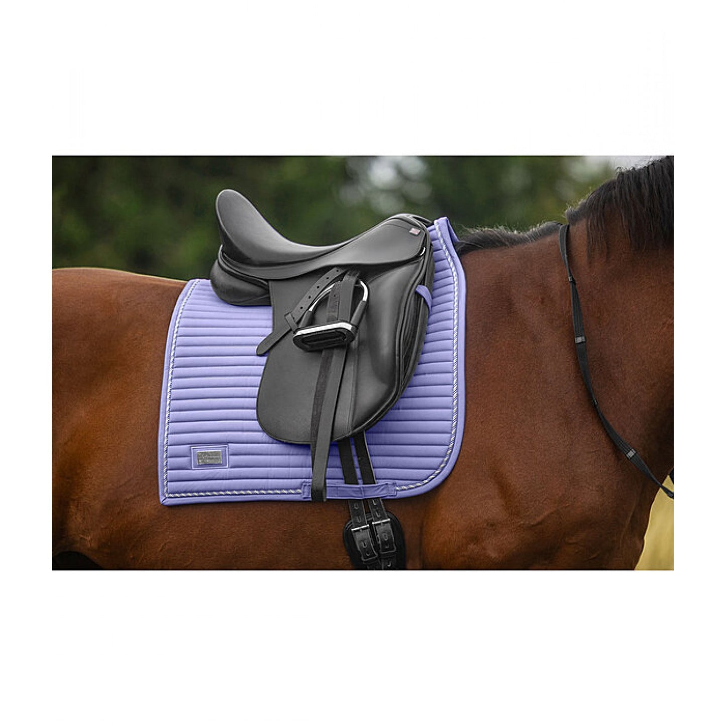 Вальтрап конкурний Sophistication Regular