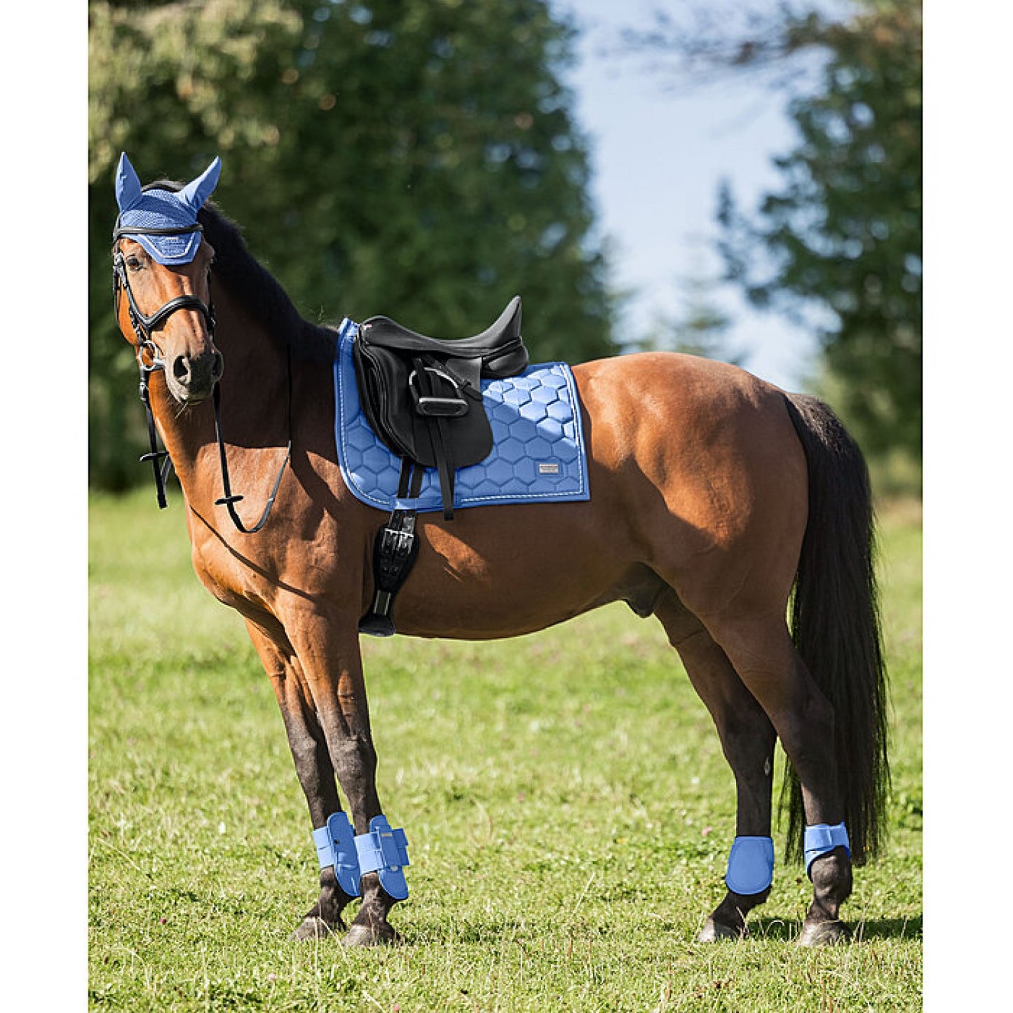 Вальтрап Sophistication Strapless Felix Buhler