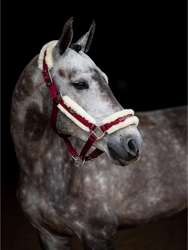 Комплект: Недовуздок з хутром та чумбур Bordeaux від Equestrian Stockholm