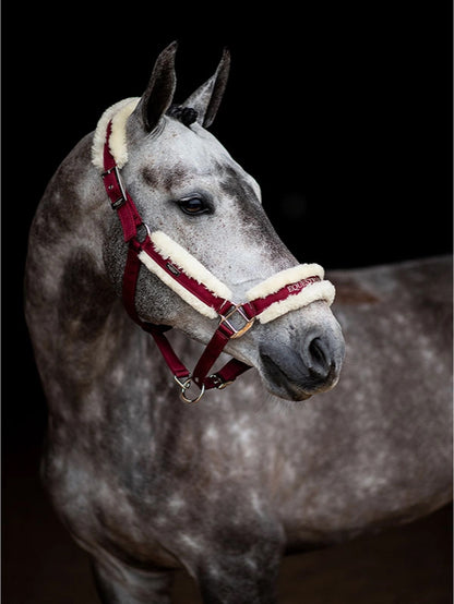 Комплект: Недовуздок з хутром та чумбур Bordeaux від Equestrian Stockholm