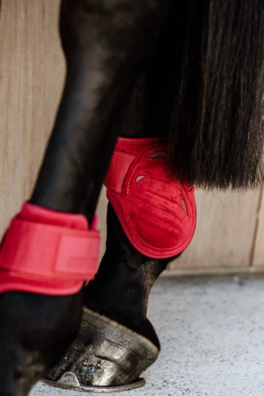 Ногавки задні для молодих коней Young Horse Velvet Red від Kentucky Horsewear