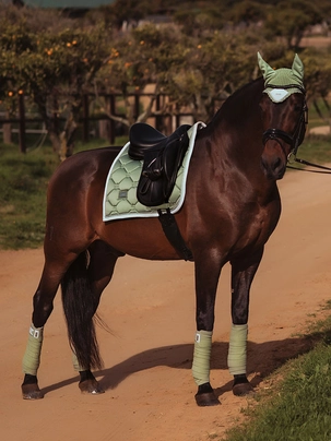 Виїздковий вальтрап Pistachio White від Equestrian Stockholm
