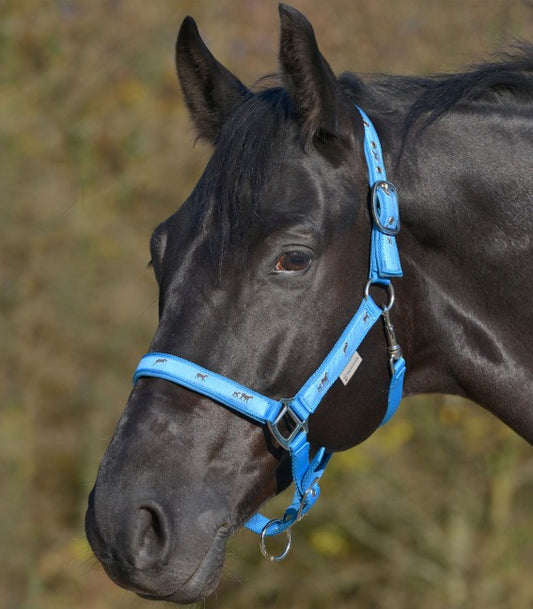 Недовуздок Little Horse від Waldhausen